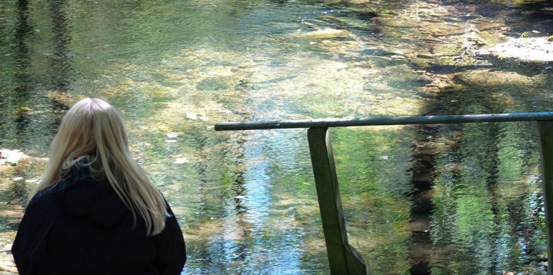 Rozpowszechnione błędne przekonania o przemocy domowej